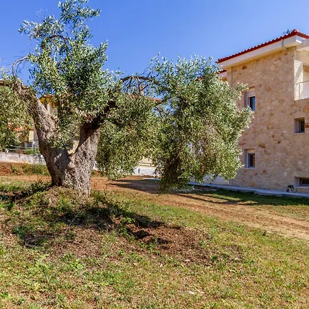 Casa Di Irene By Rentalspro - Halkidiki *
